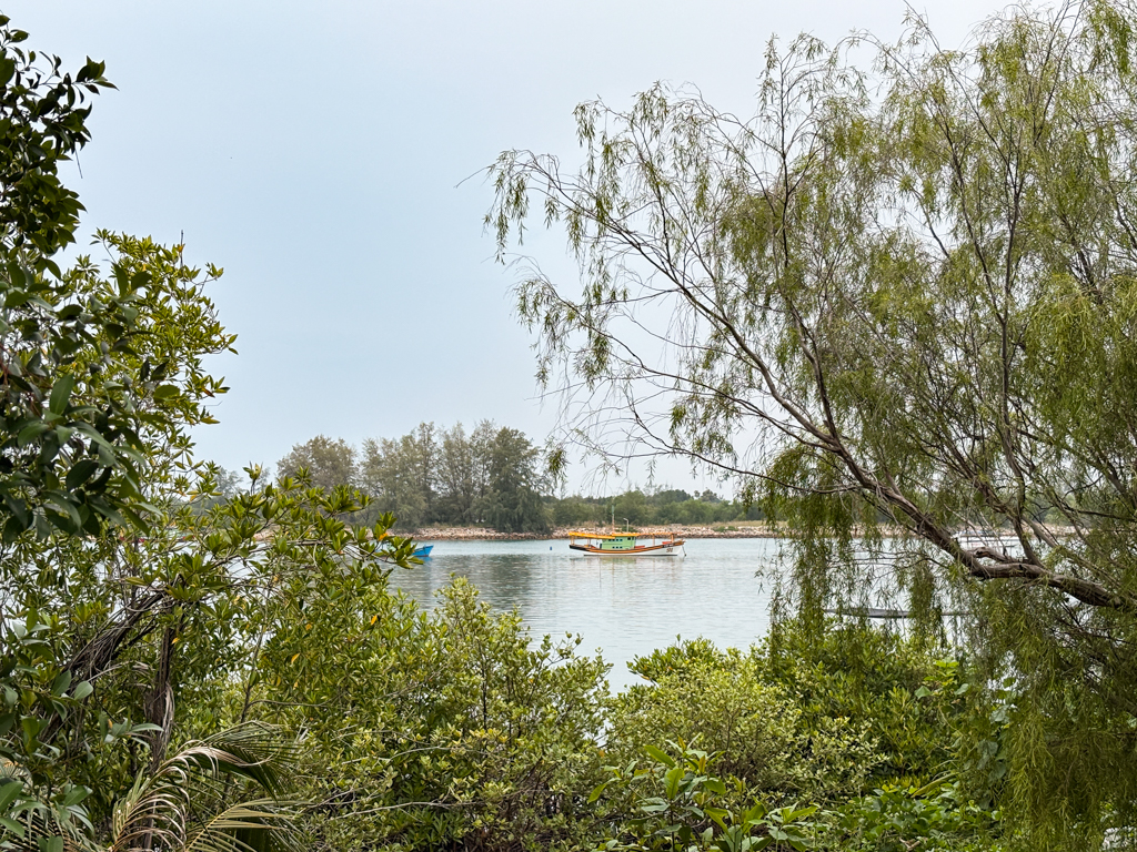 A boat on a body of water, viewed through a clearing in the trees